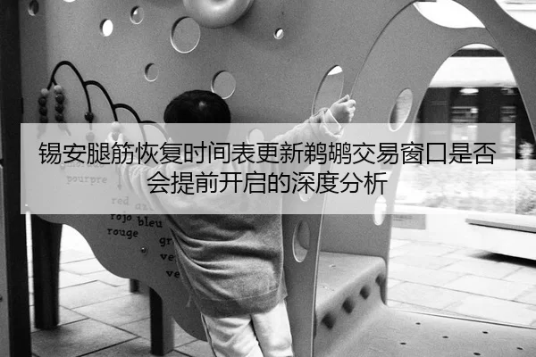 锡安腿筋恢复时间表更新鹈鹕交易窗口是否会提前开启的深度分析